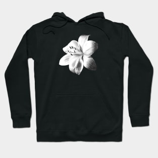 White Lily Black Background Hoodie